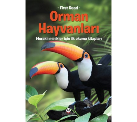 Orman Hayvanları Orman Hayvanları