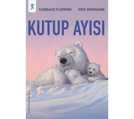 Kutup Ayısı Kutup Ayısı