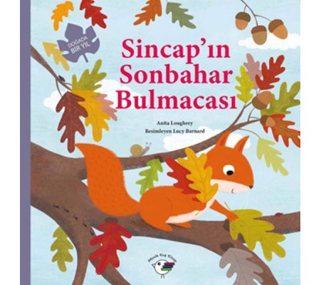 Sincap’ın Sonbahar Bulmacası – Doğada Bir Yıl