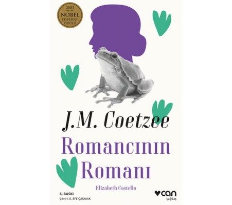 Romancının Romanı Romancının Romanı