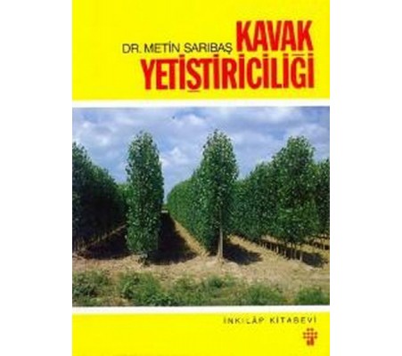 Kavak Yetiştiriciliği