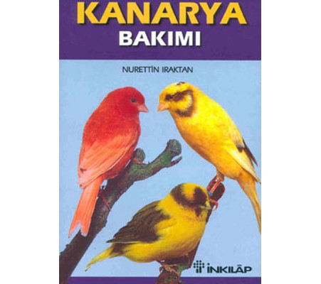 Kanarya Bakımı Kanarya Bakımı