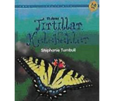 Tırtıllar ve Kelebekler Tırtıllar ve Kelebekler