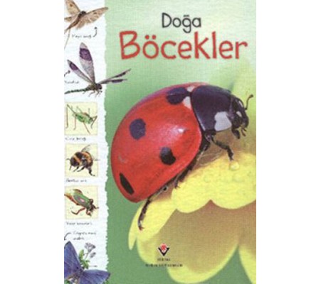 Doğa - Böcekler Doğa - Böcekler