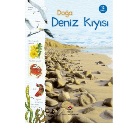 Doğa Deniz Kıyısı Doğa Deniz Kıyısı