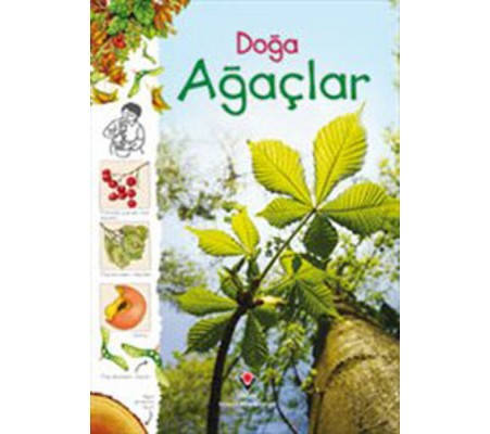 Doğa - Ağaçlar Doğa - Ağaçlar