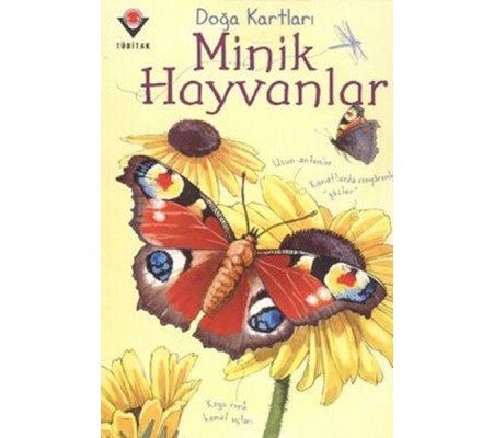 Doğa Kartları - Minik Hayvanlar