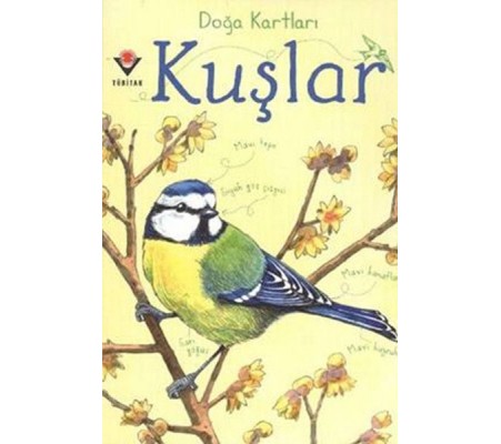 Doğa Kartları - Kuşlar Doğa Kartları - Kuşlar