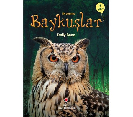 İlk Okuma - Baykuşlar İlk Okuma - Baykuşlar