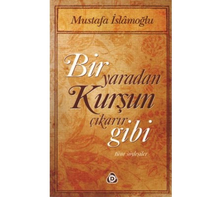 Bir Yaradan Kurşun Çıkarır Gibi / Tüm Söyleşiler Bir Yaradan Kurşun Çıkarır Gibi / Tüm Söyleşiler