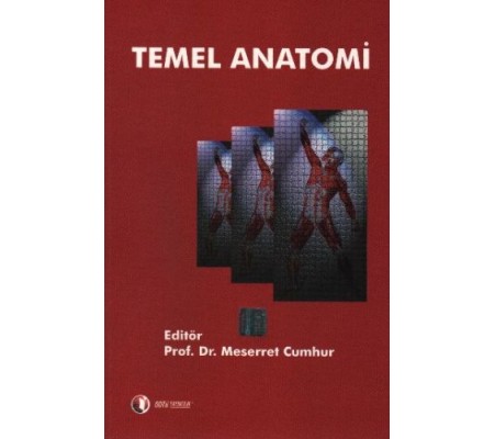 Temel Anatomi