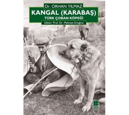 Kangal (Karabaş) Türk Çoban Köpeği