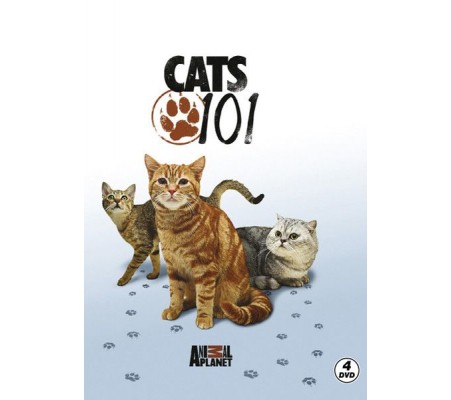 Cats 101 - Kediler Cats 101 - Kediler