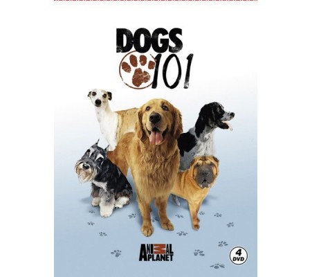 Dogs 101 - Köpekler Dogs 101 - Köpekler