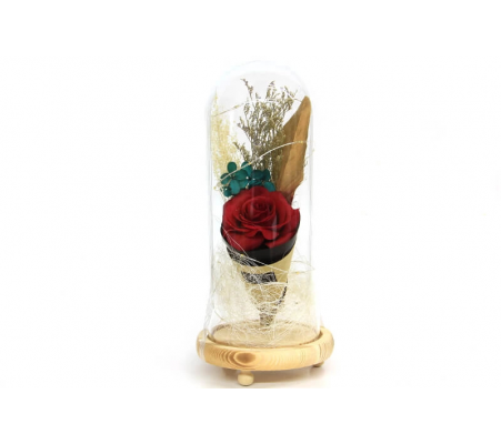 Fanus Gül 28/12cm